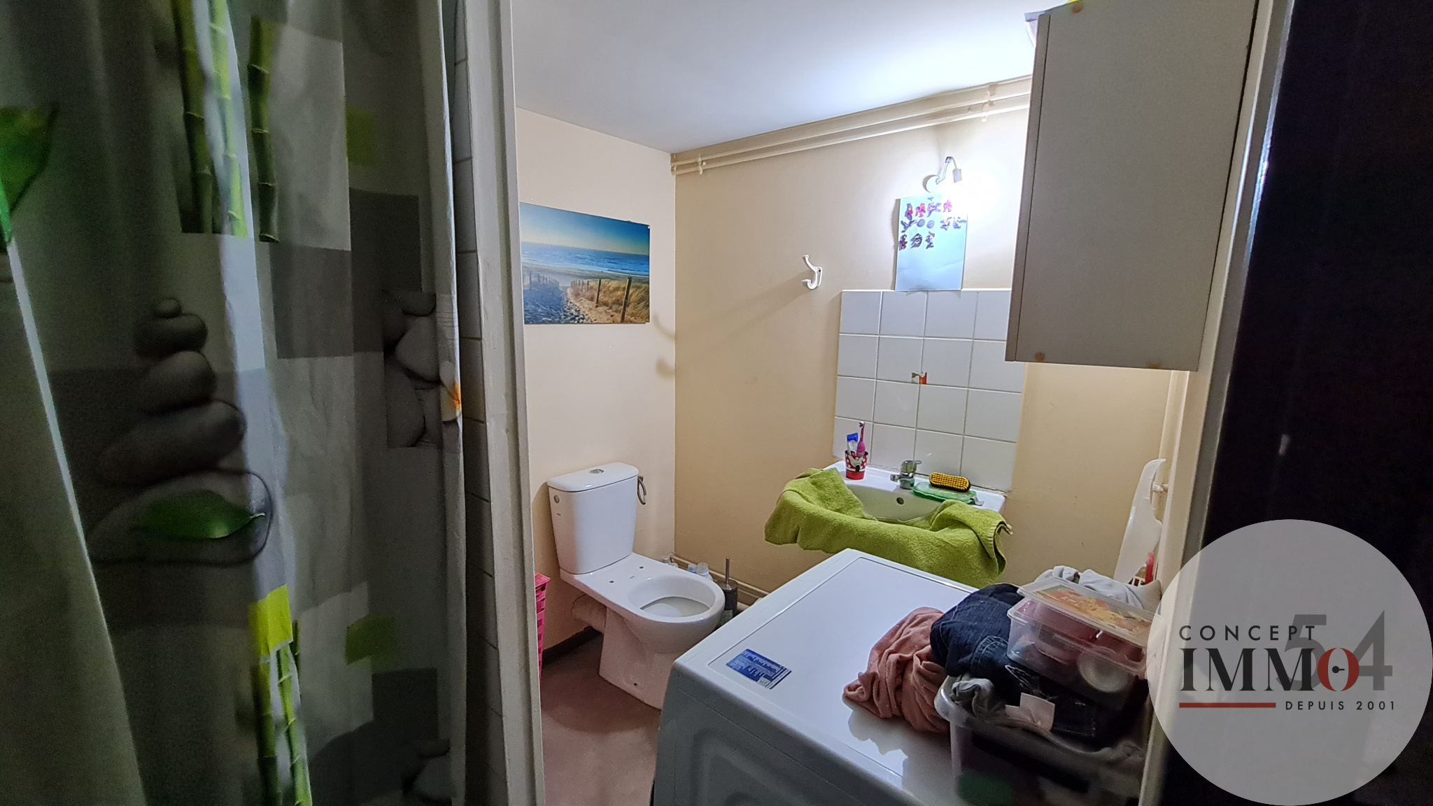 photo6